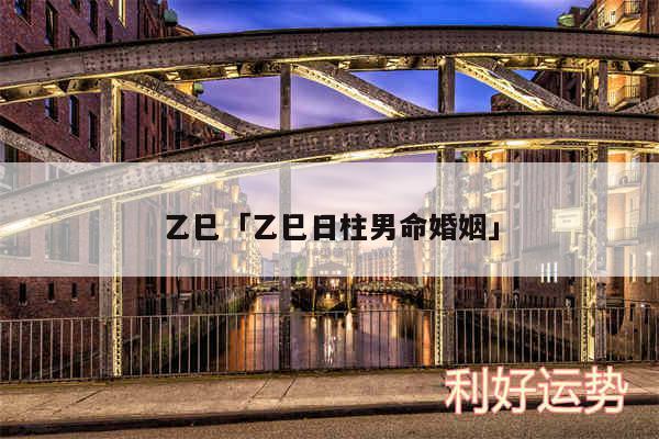 乙巳及乙巳日柱男命婚姻