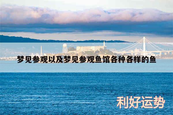 梦见参观以及梦见参观鱼馆各种各样的鱼