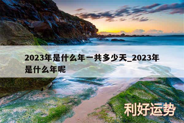 2024年是什么年一共多少天_2024年是什么年呢