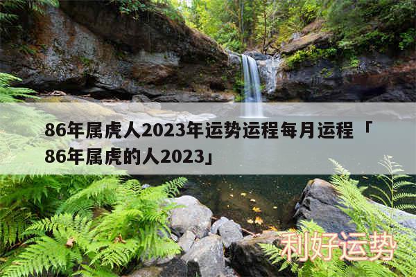 86年属虎人2024年运势运程每月运程及86年属虎的人2024