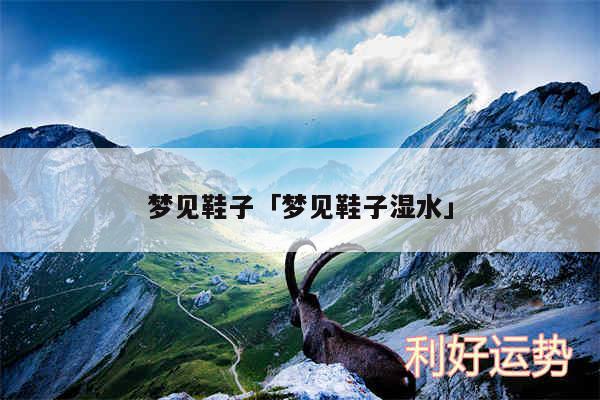 梦见鞋子及梦见鞋子湿水