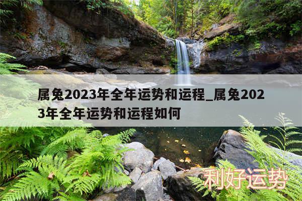 属兔2024年全年运势和运程_属兔2024年全年运势和运程如何