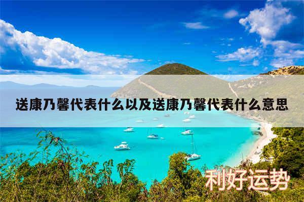 送康乃馨代表什么以及送康乃馨代表什么意思