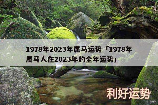 1978年2024年属马运势及1978年属马人在2024年的全年运势