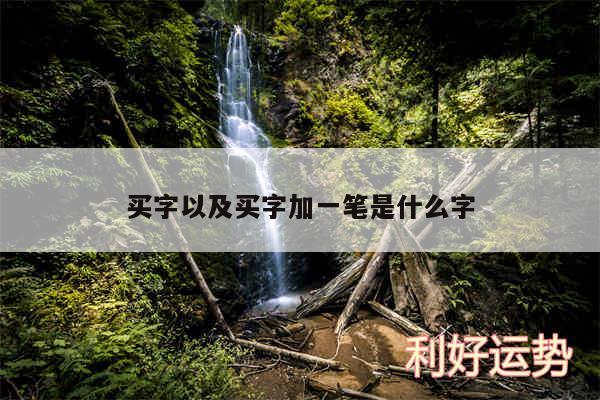 买字以及买字加一笔是什么字