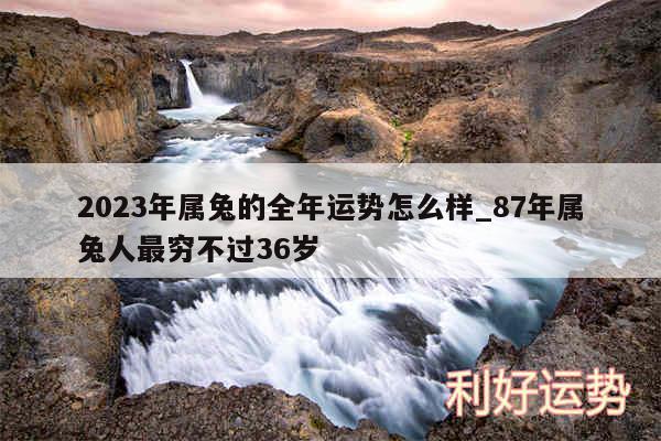 2024年属兔的全年运势怎么样_87年属兔人最穷不过36岁