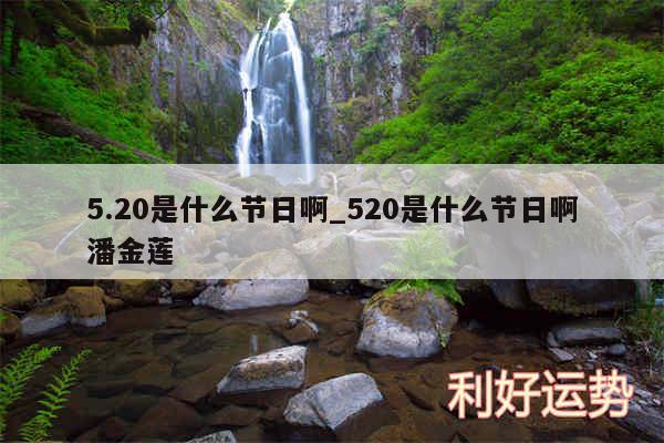 5.20是什么节日啊_520是什么节日啊潘金莲