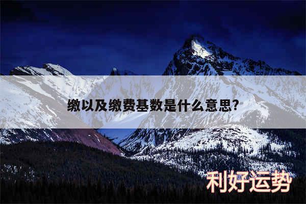 缴以及缴费基数是什么意思?