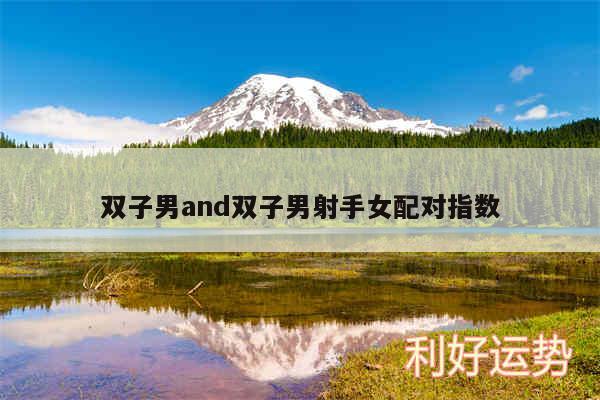 双子男and双子男射手女配对指数