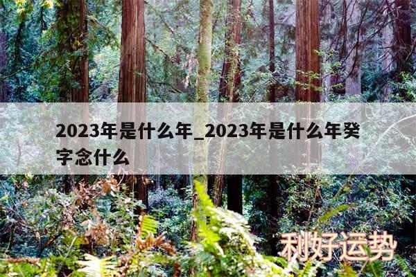 2024年是什么年_2024年是什么年癸字念什么