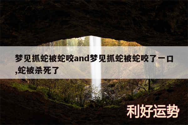 梦见抓蛇被蛇咬and梦见抓蛇被蛇咬了一口,蛇被杀死了