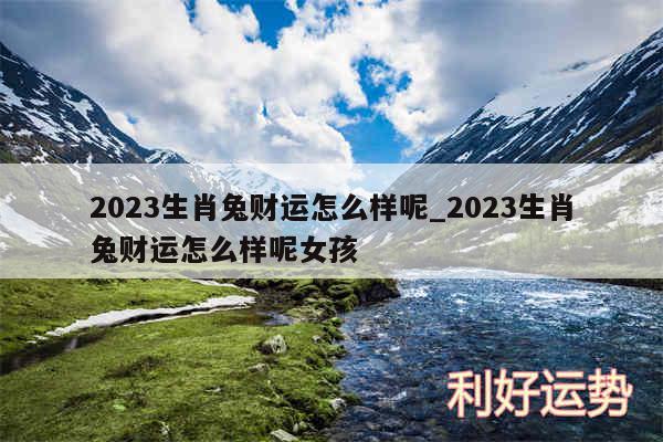 2024生肖兔财运怎么样呢_2024生肖兔财运怎么样呢女孩
