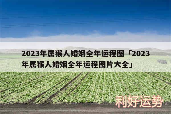 2024年属猴人婚姻全年运程图及2024年属猴人婚姻全年运程图片大全