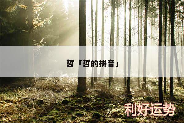 哲及哲的拼音