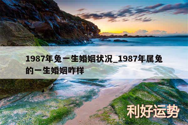 1987年兔一生婚姻状况_1987年属兔的一生婚姻咋样