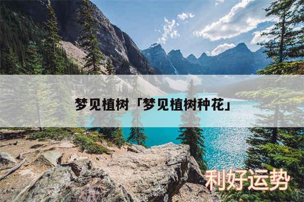 梦见植树及梦见植树种花