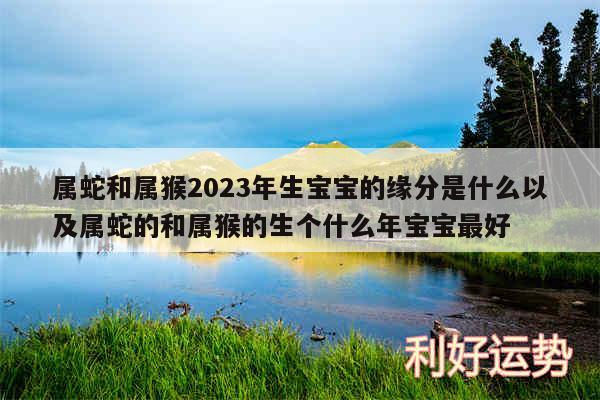 属蛇和属猴2024年生宝宝的缘分是什么以及属蛇的和属猴的生个什么年宝宝最好