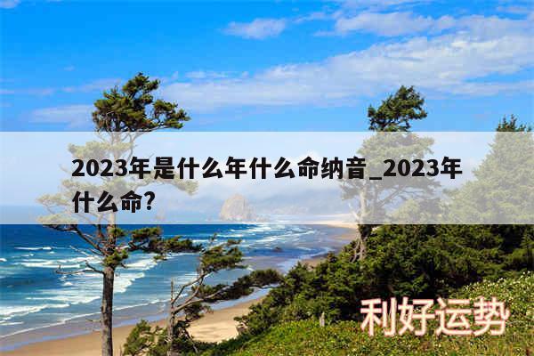 2024年是什么年什么命纳音_2024年什么命?