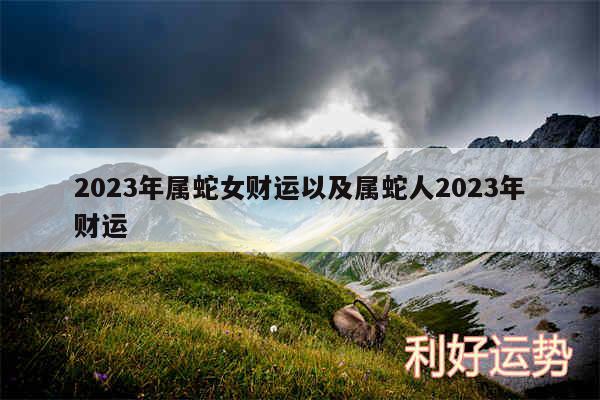 2024年属蛇女财运以及属蛇人2024年财运