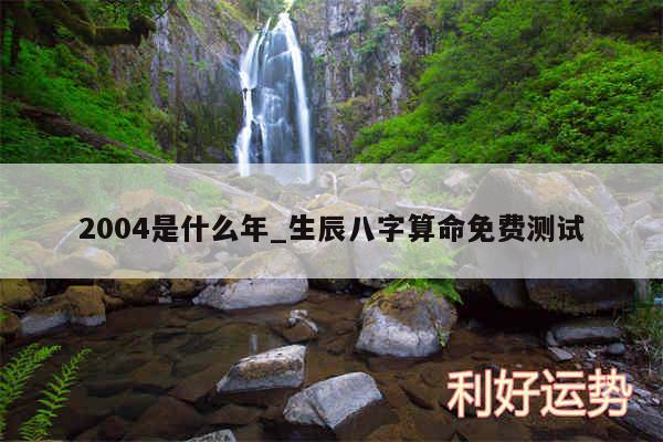 2004是什么年_生辰八字算命免费测试