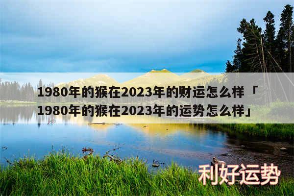 1980年的猴在2024年的财运怎么样及1980年的猴在2024年的运势怎么样