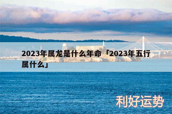 2024年属龙是什么年命及2024年五行属什么