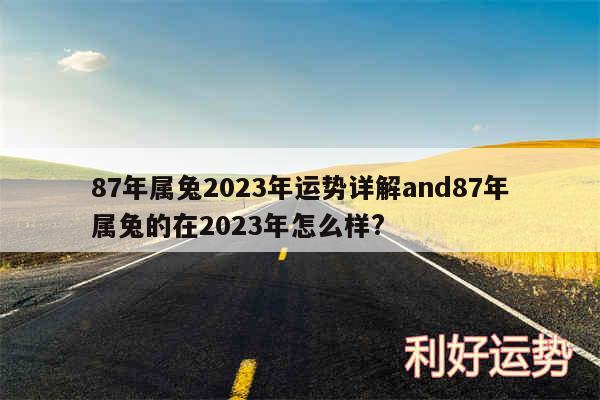 87年属兔2024年运势详解and87年属兔的在2024年怎么样?