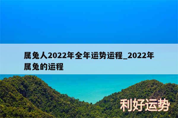 属兔人2024年全年运势运程_2024年属兔的运程