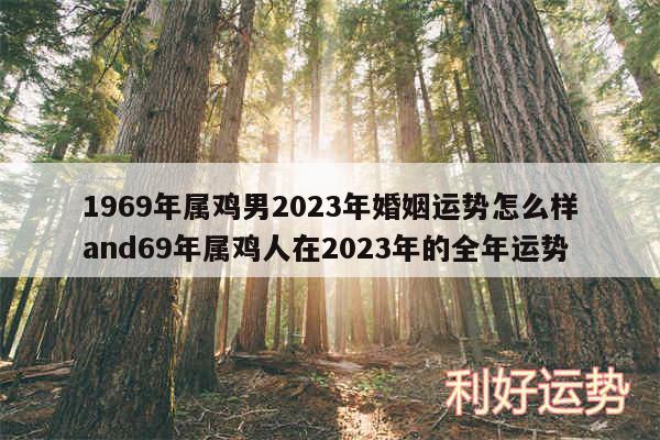 1969年属鸡男2024年婚姻运势怎么样and69年属鸡人在2024年的全年运势