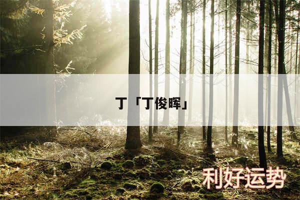 丁及丁俊晖
