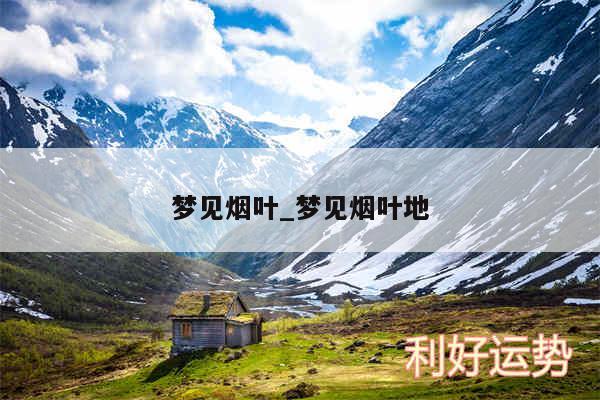 梦见烟叶_梦见烟叶地