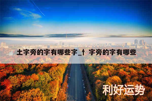 土字旁的字有哪些字_忄字旁的字有哪些