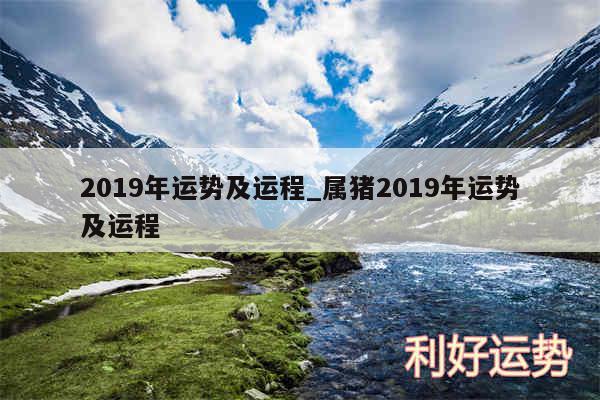 2019年运势及运程_属猪2019年运势及运程