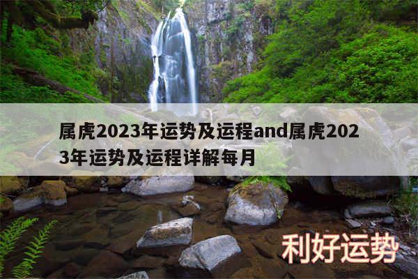 属虎2024年运势及运程and属虎2024年运势及运程详解每月