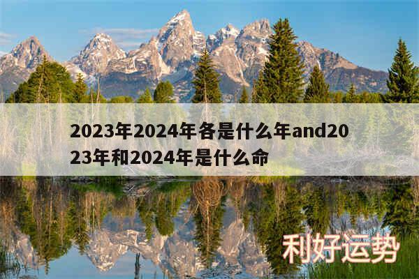 2024年2024年各是什么年and2024年和2024年是什么命