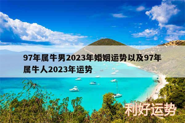 97年属牛男2024年婚姻运势以及97年属牛人2024年运势