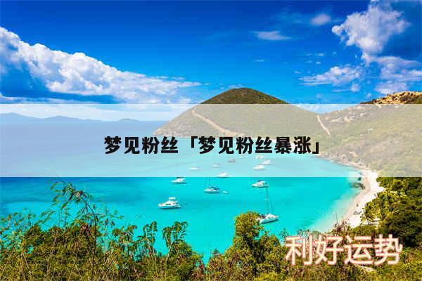 梦见粉丝及梦见粉丝暴涨
