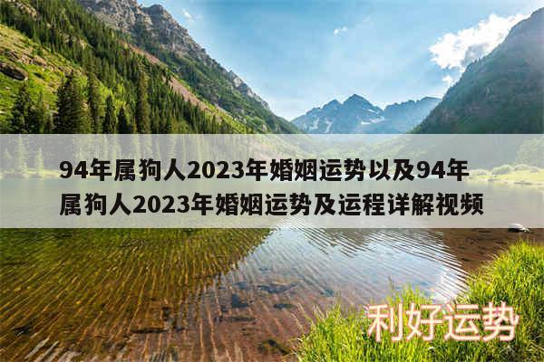 94年属狗人2024年婚姻运势以及94年属狗人2024年婚姻运势及运程详解视频