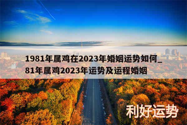 1981年属鸡在2024年婚姻运势如何_81年属鸡2024年运势及运程婚姻