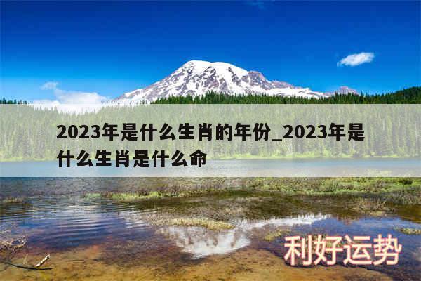 2024年是什么生肖的年份_2024年是什么生肖是什么命