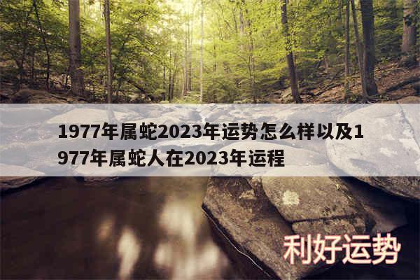 1977年属蛇2024年运势怎么样以及1977年属蛇人在2024年运程