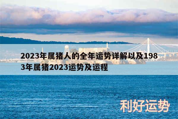 2024年属猪人的全年运势详解以及1983年属猪2024运势及运程