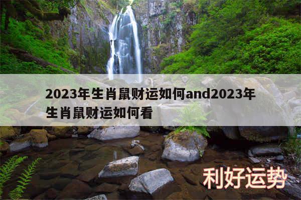 2024年生肖鼠财运如何and2024年生肖鼠财运如何看