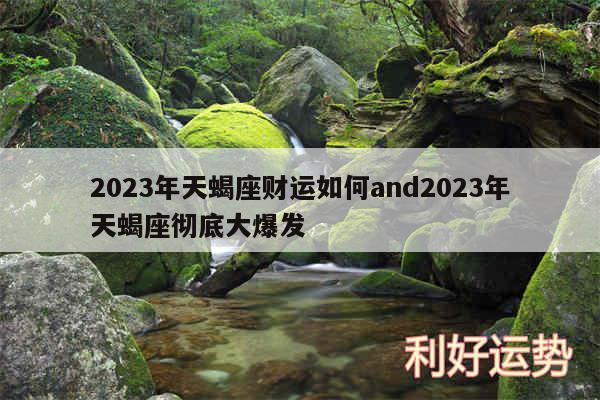 2024年天蝎座财运如何and2024年天蝎座彻底大爆发