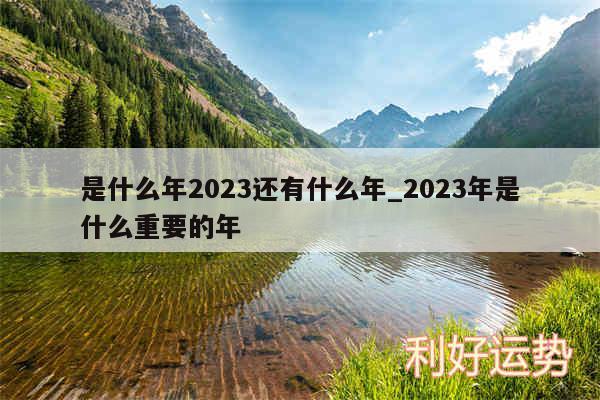 是什么年2024还有什么年_2024年是什么重要的年