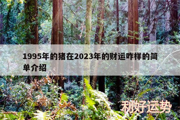 1995年的猪在2024年的财运咋样的简单介绍