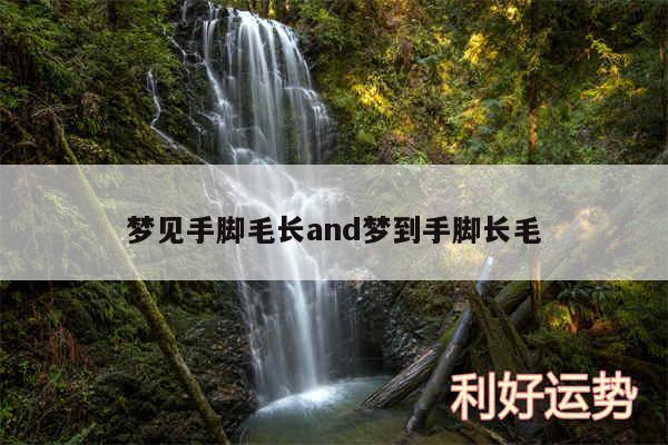 梦见手脚毛长and梦到手脚长毛