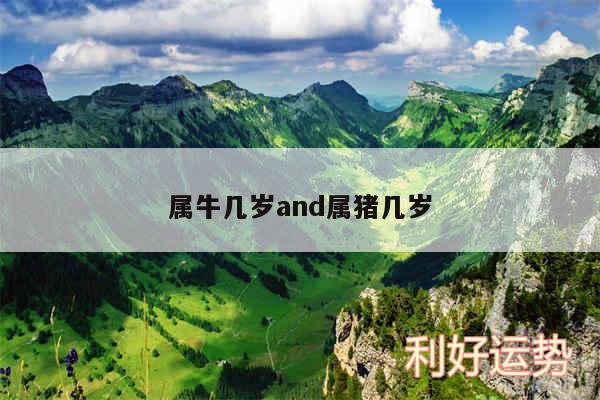 属牛几岁and属猪几岁