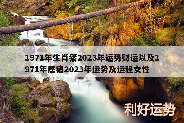 1971年生肖猪2024年运势财运以及1971年属猪2024年运势及运程女性