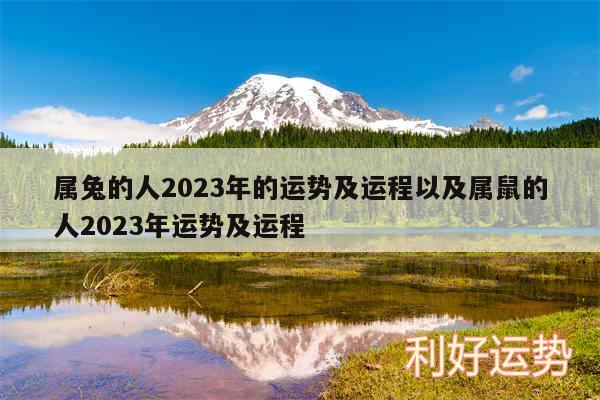 属兔的人2024年的运势及运程以及属鼠的人2024年运势及运程